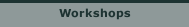 Workshops